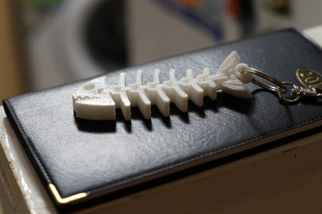 3D printed fish texture showing detailed surface quality achievable with FDM printing